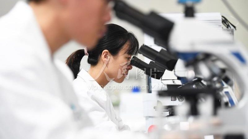 培养基成分定制：精准培养，助力生物科研**
