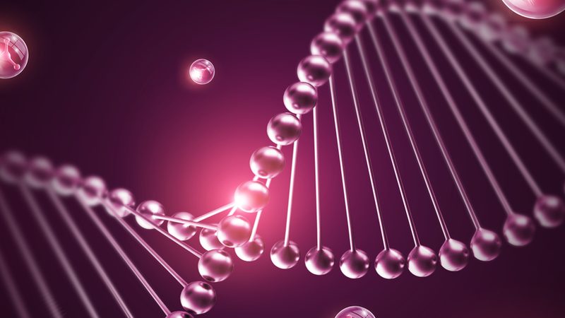 细胞工厂报价单背后的考量因素**