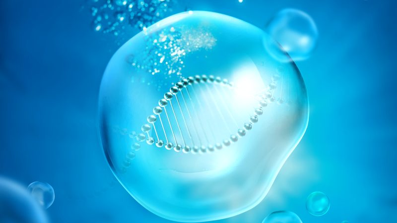 移液器材质分类国家标准解析：揭秘实验室安全与效率的基石**