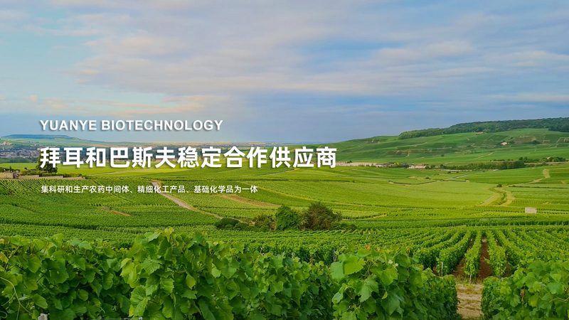 上海PCR扩增仪参数定制服务