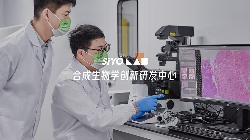 为了确保采购的原料药符合要求，以下指标值得关注：
