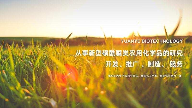 荧光定量PCR试剂盒：如何挑选品质与性能兼备的产品**