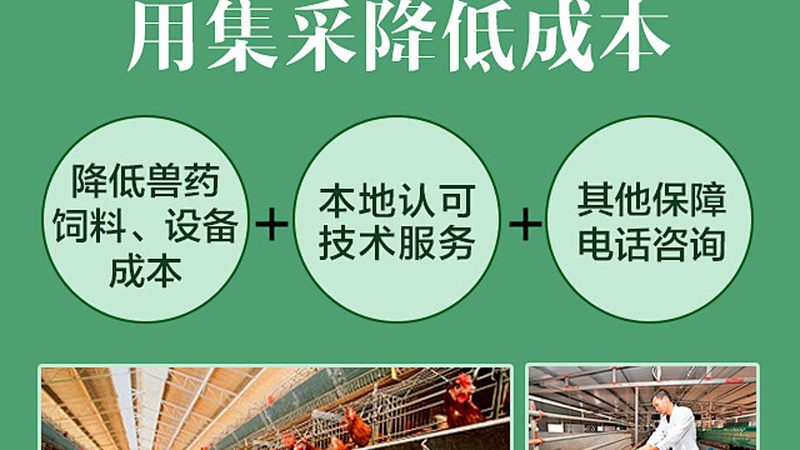 抗体药物临床试验中心筛选要点：如何确保试验质量与合规性
