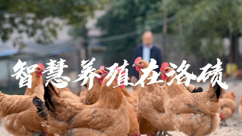 治疗性抗体采购流程揭秘：合规与效率并重