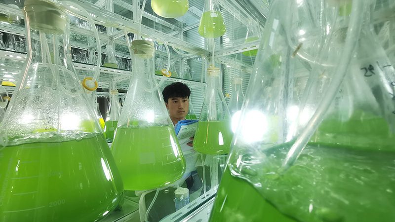 在选择代办机构时，首先要考察其资质。正规代办机构应具备以下条件：
